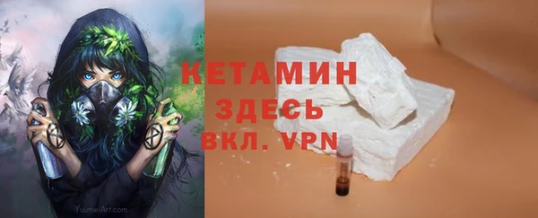 мдпв Бородино