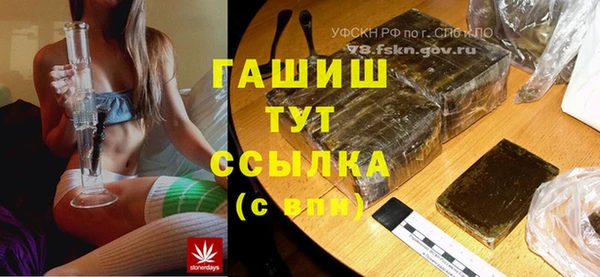 мдпв Бородино