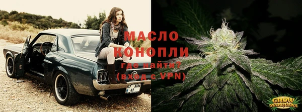 мдпв Бородино