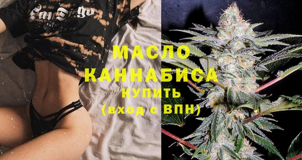 мдпв Бородино