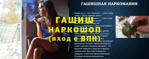 мдпв Бородино