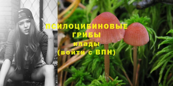 мдпв Бородино