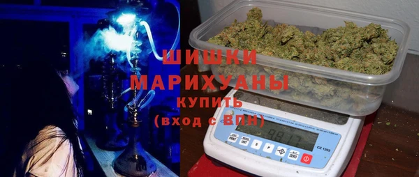 мдпв Бородино